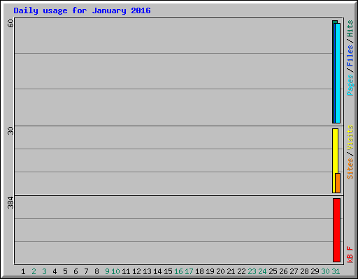 Daily usage for January 2016