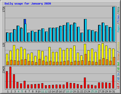 Daily usage for January 2020