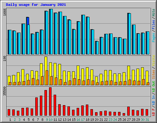 Daily usage for January 2021