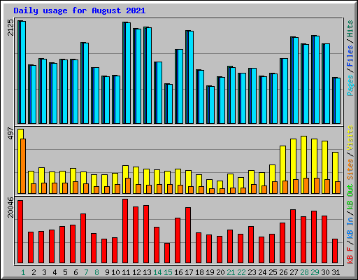 Daily usage for August 2021
