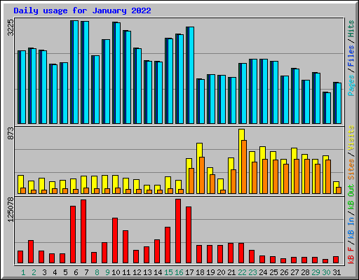 Daily usage for January 2022