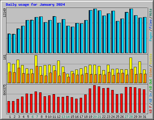 Daily usage for January 2024