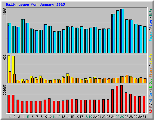 Daily usage for January 2025