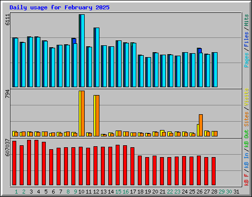 Daily usage for February 2025