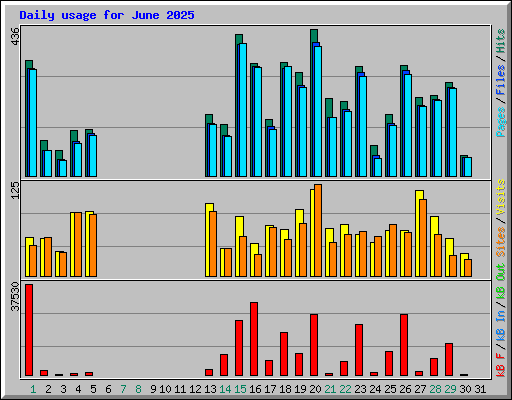 Daily usage for June 2025