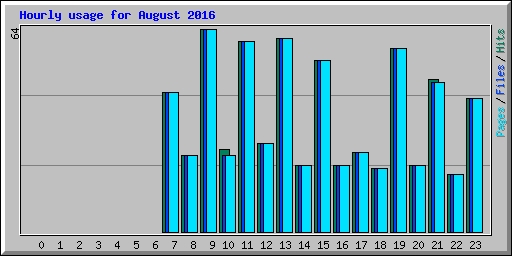 Hourly usage for August 2016