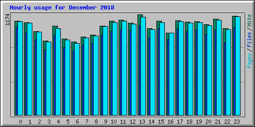 Hourly usage for December 2018