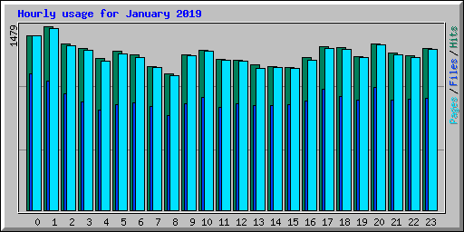 Hourly usage for January 2019