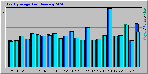 Hourly usage for January 2020