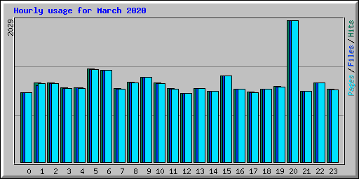 Hourly usage for March 2020