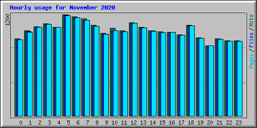 Hourly usage for November 2020