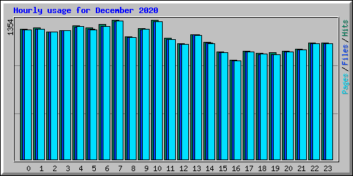 Hourly usage for December 2020
