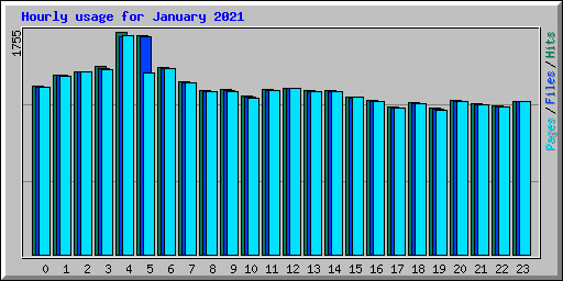 Hourly usage for January 2021