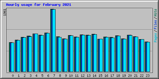Hourly usage for February 2021