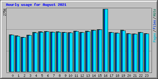 Hourly usage for August 2021