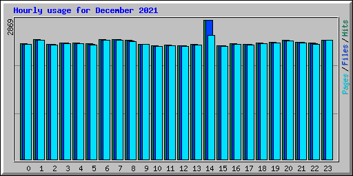 Hourly usage for December 2021