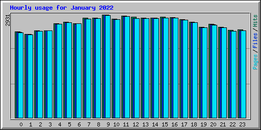 Hourly usage for January 2022