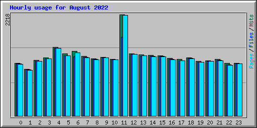 Hourly usage for August 2022