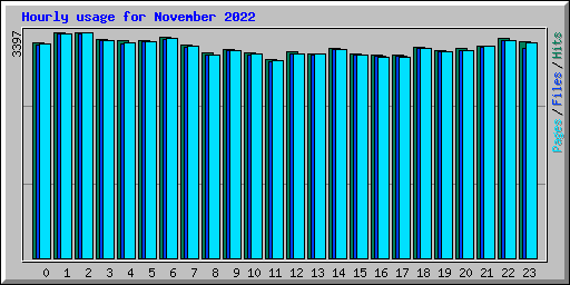Hourly usage for November 2022