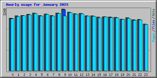 Hourly usage for January 2023