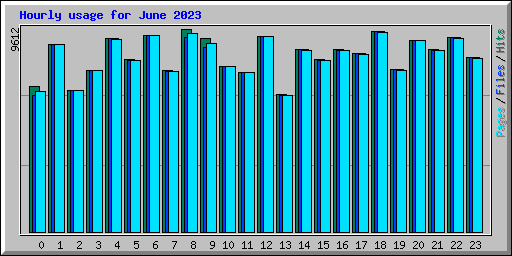 Hourly usage for June 2023