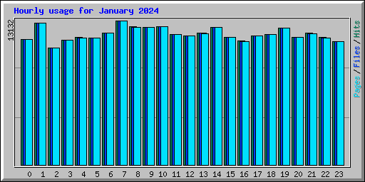 Hourly usage for January 2024
