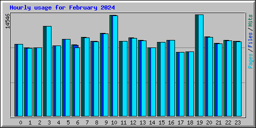 Hourly usage for February 2024