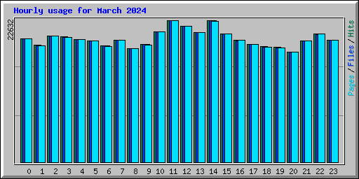 Hourly usage for March 2024
