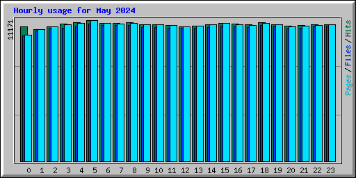 Hourly usage for May 2024