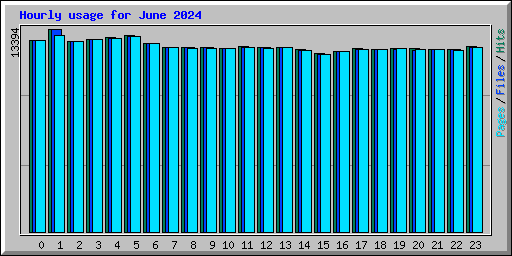 Hourly usage for June 2024