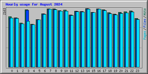 Hourly usage for August 2024