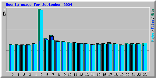 Hourly usage for September 2024
