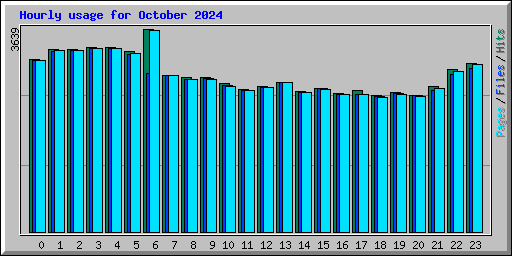 Hourly usage for October 2024