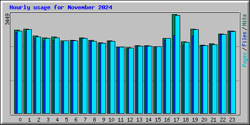 Hourly usage for November 2024