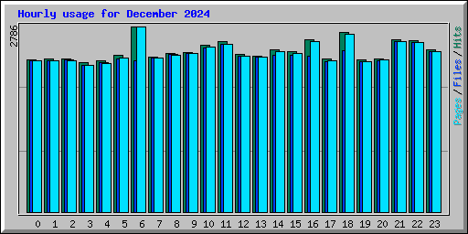 Hourly usage for December 2024