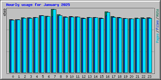 Hourly usage for January 2025