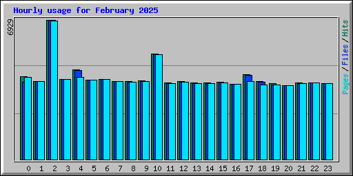 Hourly usage for February 2025