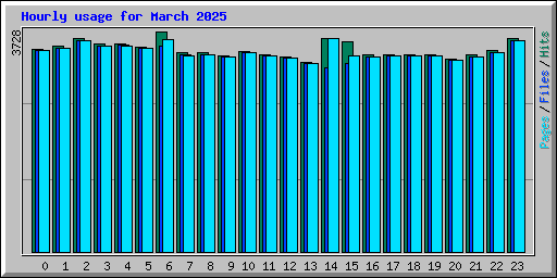Hourly usage for March 2025