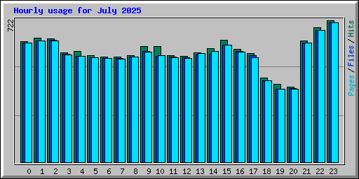 Hourly usage for July 2025