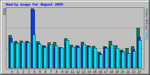 Hourly usage for August 2025