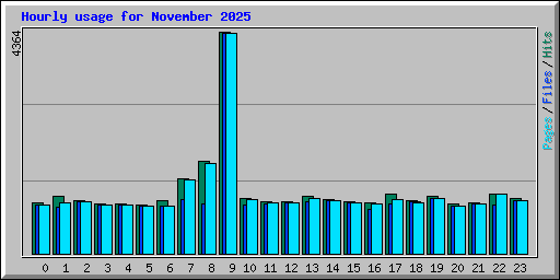 Hourly usage for November 2025